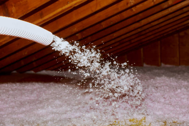 Best Wall Insulation Contractor  in East Syracuse, NY