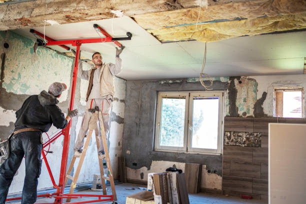 Best Insulation Removal  in East Syracuse, NY