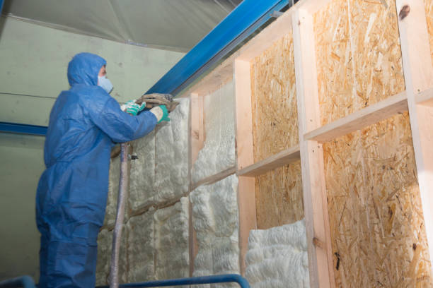 Best Best Insulation Companies  in East Syracuse, NY